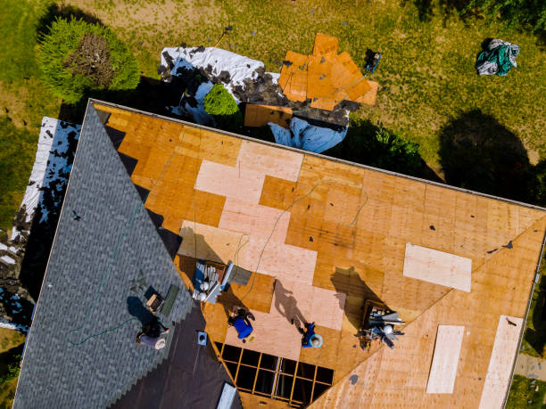 Best Metal Roofing Contractor  in Wink, TX