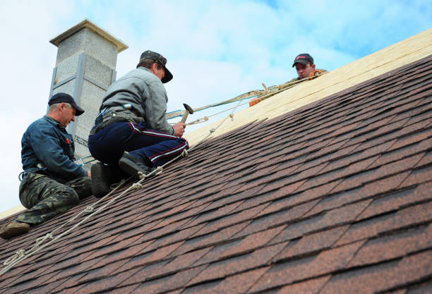 Best Tile Roofing Contractor  in Wink, TX